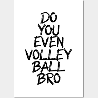 do you even volleyball bro Posters and Art